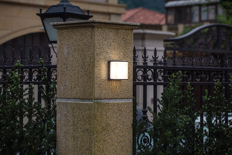 Уличный светодиодный светильник WC2124