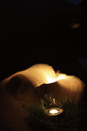 Декоративная подсветка газонов - UG1815 15W